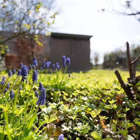 Auszeit Wormshoeft Hasselberg  Bagian luar foto